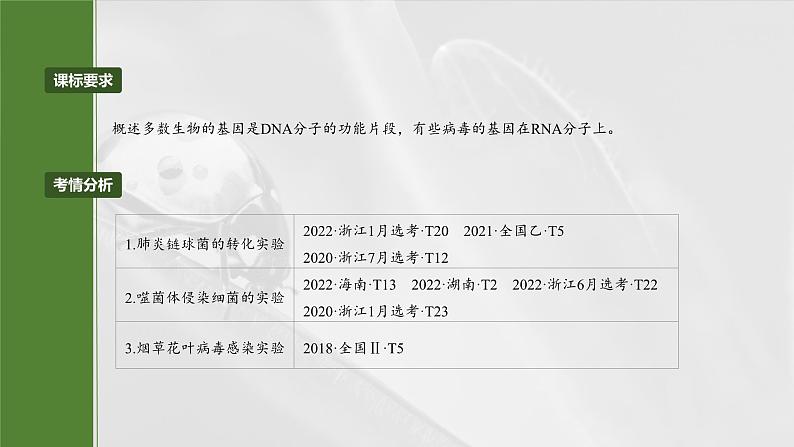 第六单元 第二十九课时 DNA是主要的遗传物质-2025年高考生物大一轮复习课件02