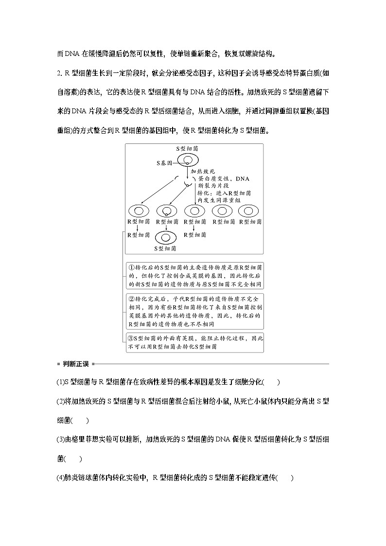 第六单元 第二十九课时 DNA是主要的遗传物质-2025年高考生物大一轮复习课件03