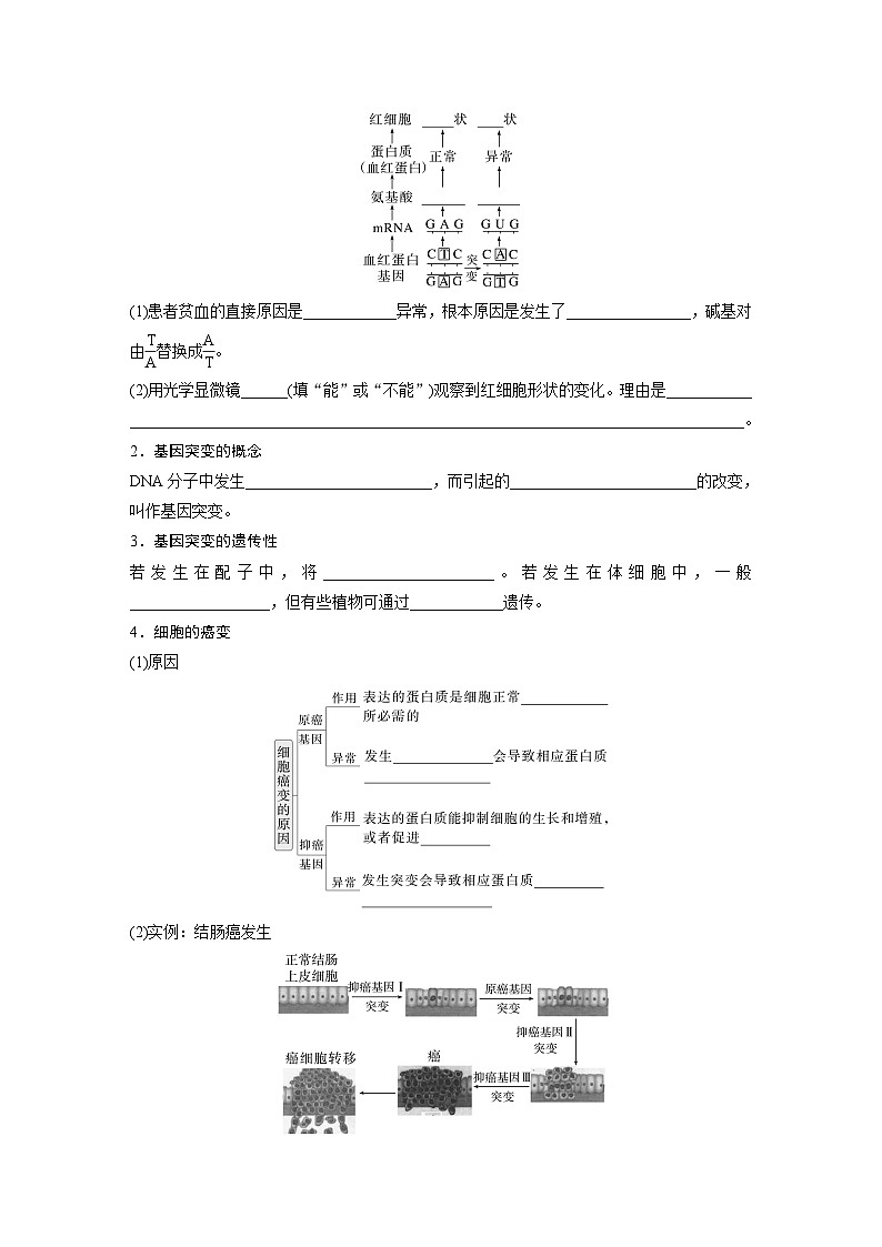 第七单元 第33课时 基因突变和基因重组(学生版)第2页