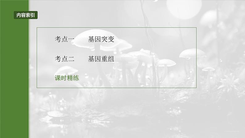 第七单元 第33课时 基因突变和基因重组第3页