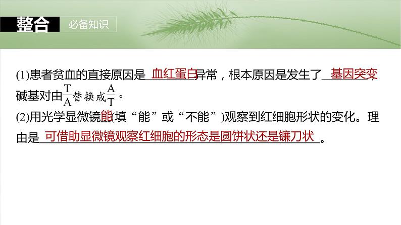 第七单元 第33课时 基因突变和基因重组第7页