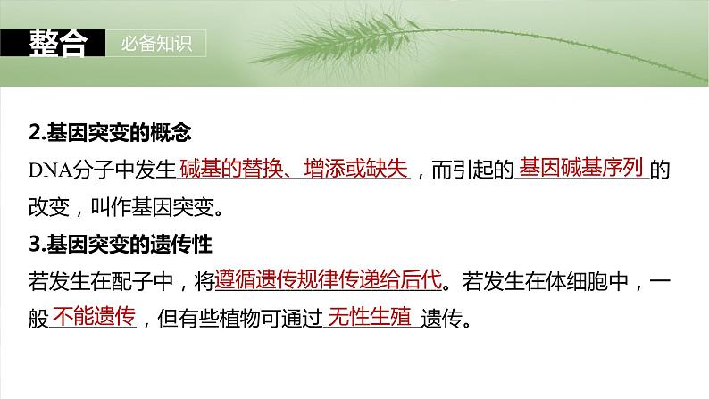 第七单元 第33课时 基因突变和基因重组第8页