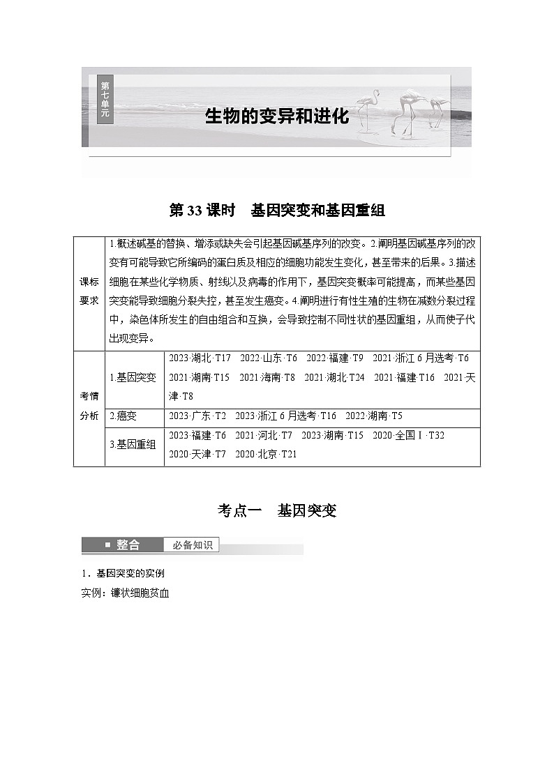 第七单元 第33课时 基因突变和基因重组(教师版)第1页