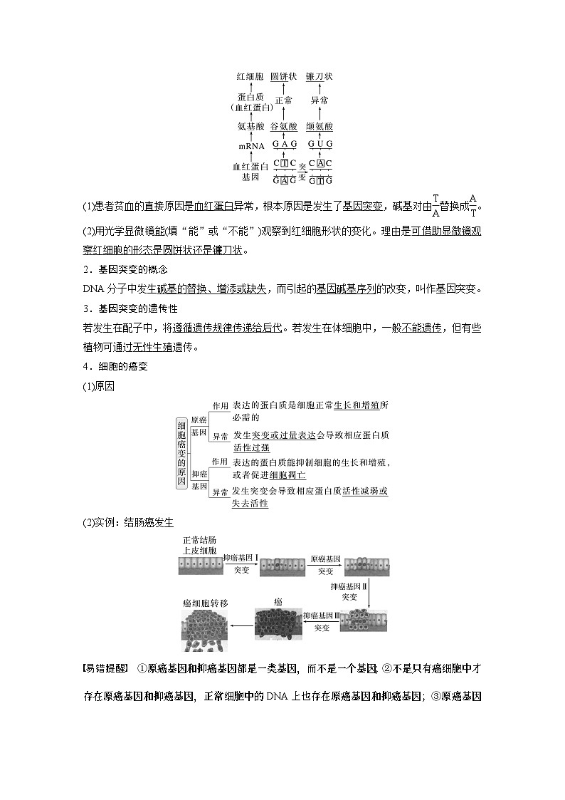 第七单元 第33课时 基因突变和基因重组(教师版)第2页