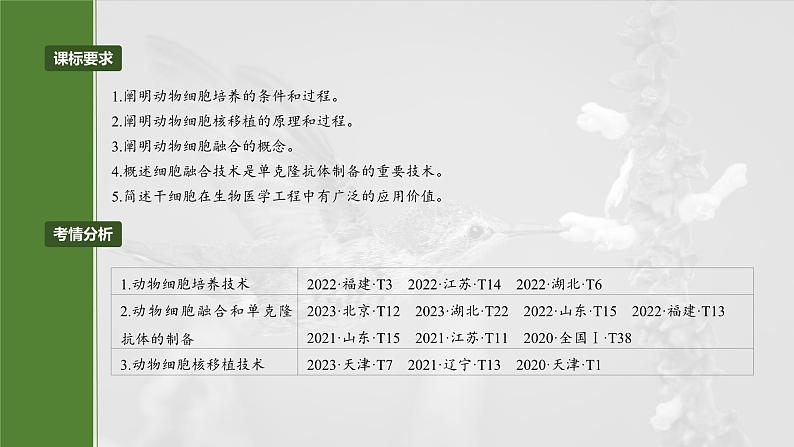 第十单元 第59课时 动物细胞工程-2025年高考生物大一轮复习课件02