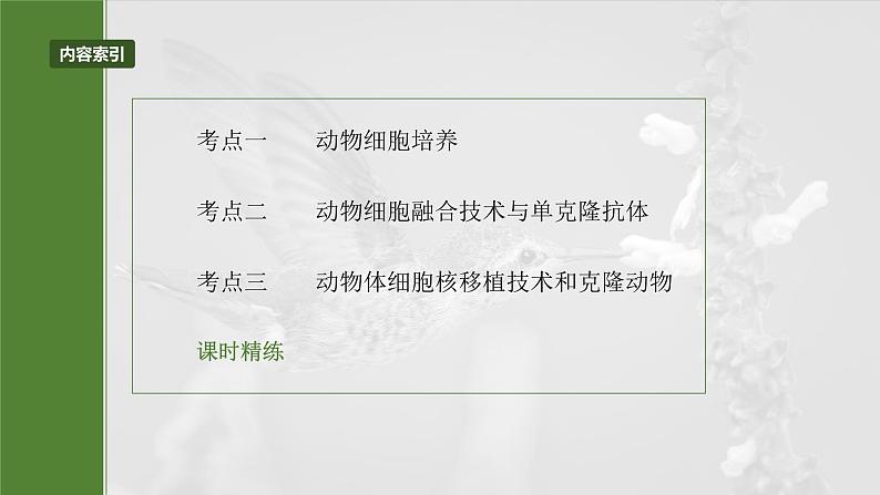 第十单元 第59课时 动物细胞工程-2025年高考生物大一轮复习课件03
