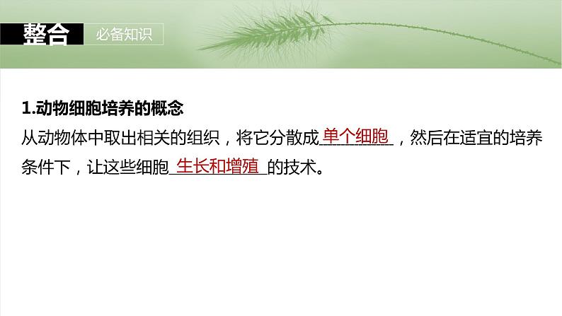 第十单元 第59课时 动物细胞工程-2025年高考生物大一轮复习课件05