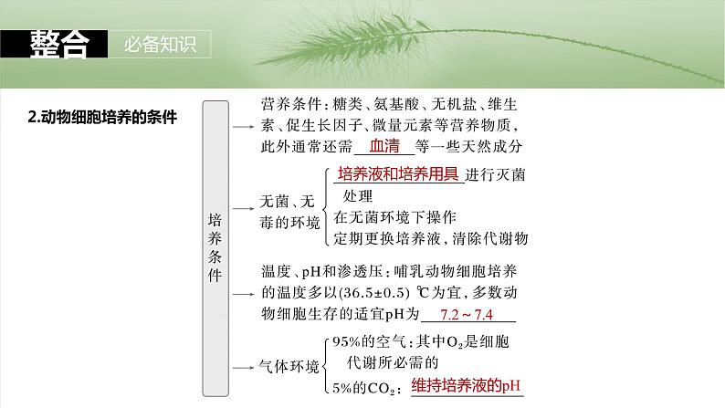 第十单元 第59课时 动物细胞工程-2025年高考生物大一轮复习课件06