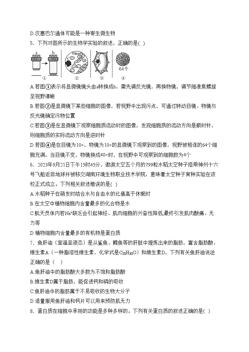 邯郸市永年区第二中学2023-2024学年高二下学期6月月考生物试卷(含答案)第2页