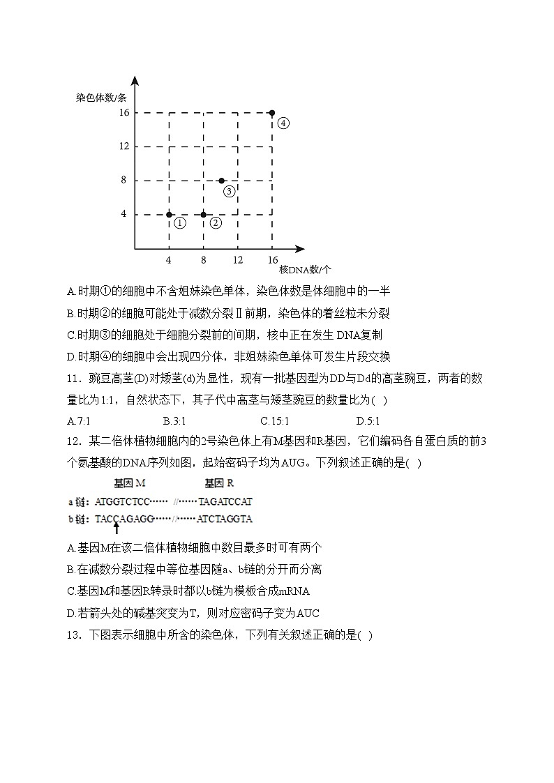 吉林省通化市梅河口市第五中学2023-2024学年高一下学期6月月考生物试卷(含答案)第3页