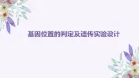 2024届高三生物专题复习课件：基因位置的判定