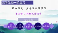 2025届高三生物一轮复习课件第四讲 人体的免疫调节