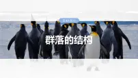 第九单元 第49课时 群落的结构-2025年高考生物大一轮复习课件
