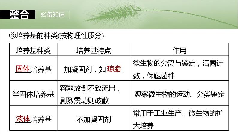 第十单元 第57课时 微生物的培养技术与应用第6页