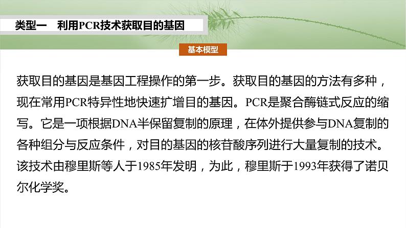 第十单元 专题突破10 综合PCR的基因工程问题-2025年高考生物大一轮复习课件03