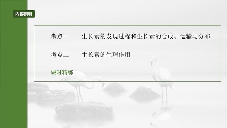 第八单元 第44课时 植物生长素第3页