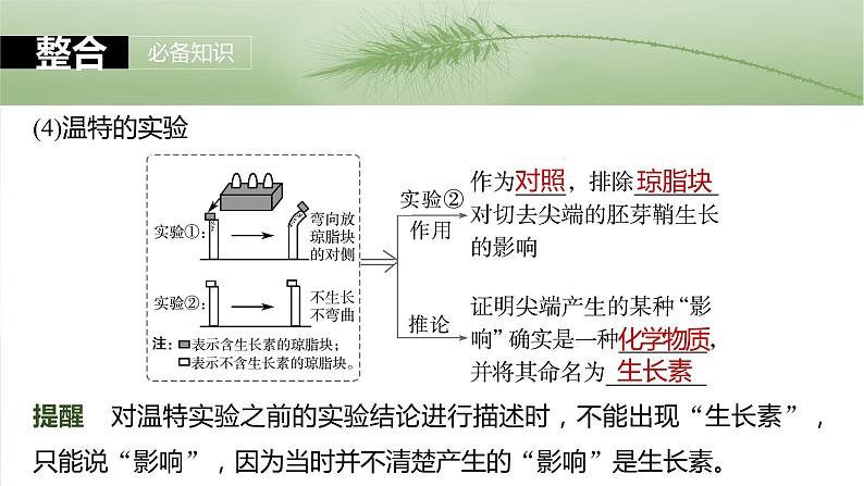第八单元 第44课时 植物生长素第8页