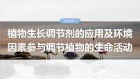 第八单元　第46课时　植物生长调节剂的应用及环境因素参与调节植物的生命活动-2025年高考生物大一轮复习课件