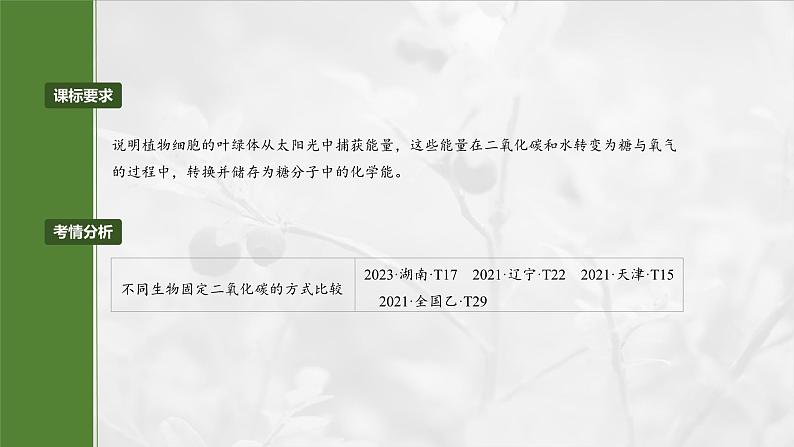第三单元 专题突破2 不同生物固定二氧化碳的方式比较第2页