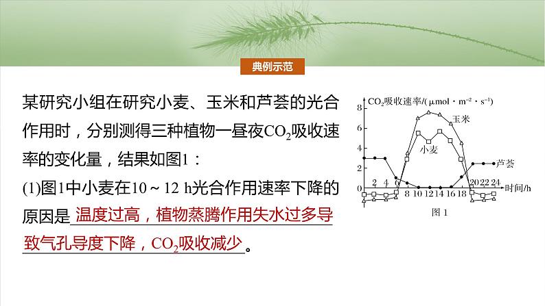 第三单元 专题突破2 不同生物固定二氧化碳的方式比较第3页