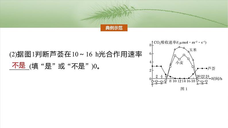 第三单元 专题突破2 不同生物固定二氧化碳的方式比较第4页
