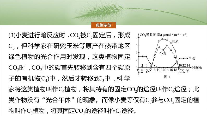 第三单元 专题突破2 不同生物固定二氧化碳的方式比较第5页