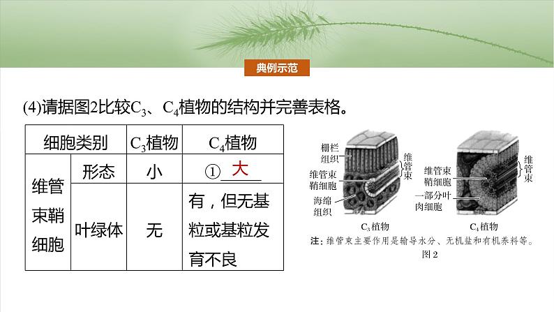 第三单元 专题突破2 不同生物固定二氧化碳的方式比较第7页