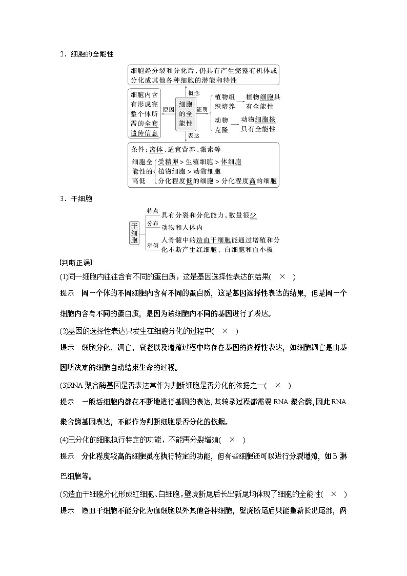 第四单元 第23课时 细胞的分化、衰老和死亡(教师版)第2页