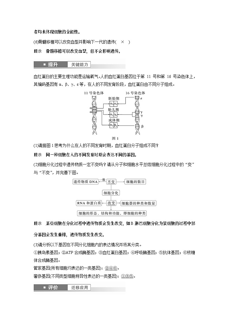 第四单元 第23课时 细胞的分化、衰老和死亡(教师版)第3页