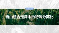 第五单元 专题突破6 自由组合定律中的特殊分离比-2025年高考生物大一轮复习课件