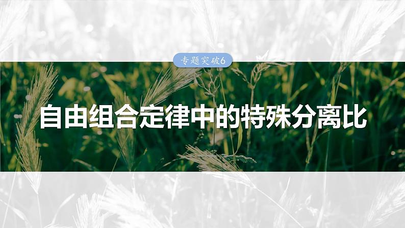 第五单元 专题突破6 自由组合定律中的特殊分离比第1页