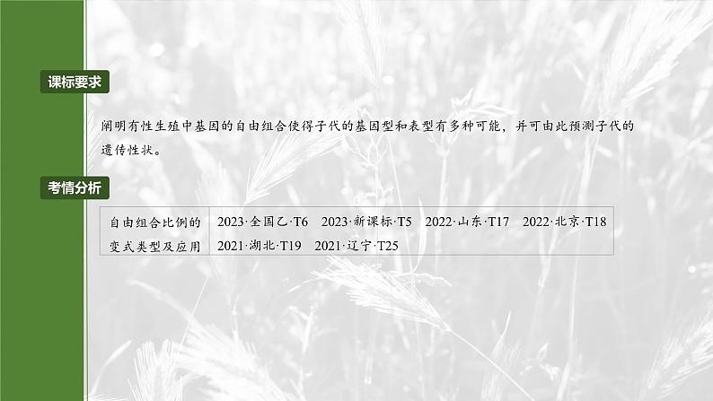 第五单元 专题突破6 自由组合定律中的特殊分离比第2页