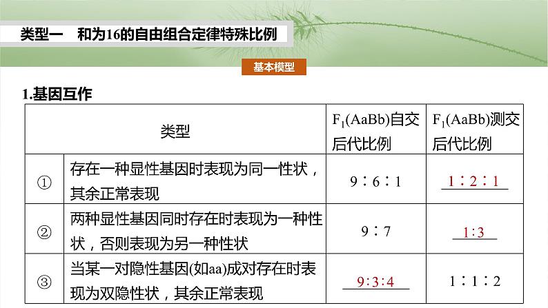 第五单元 专题突破6 自由组合定律中的特殊分离比第3页