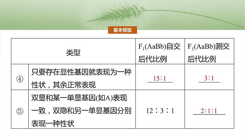 第五单元 专题突破6 自由组合定律中的特殊分离比第4页