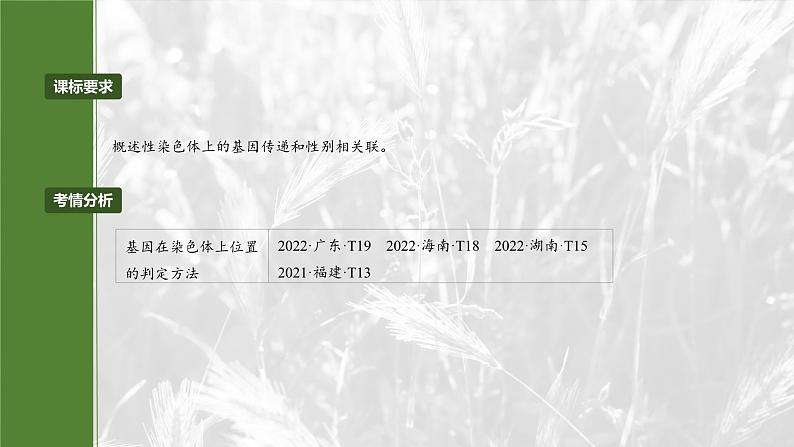 第五单元 专题突破8 基因在性染色体上的位置判断第2页