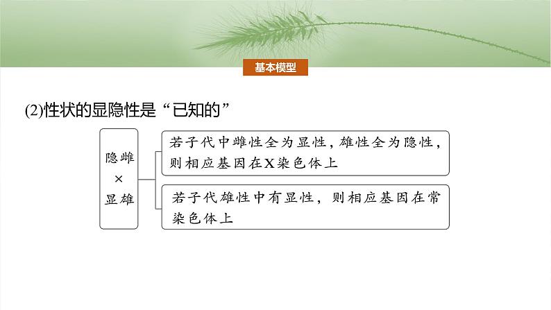 第五单元 专题突破8 基因在性染色体上的位置判断第4页