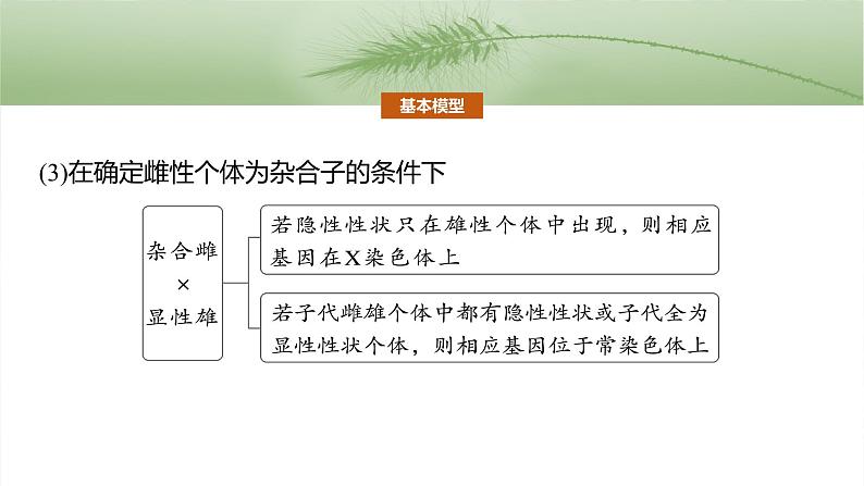 第五单元 专题突破8 基因在性染色体上的位置判断第5页