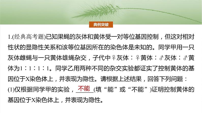 第五单元 专题突破8 基因在性染色体上的位置判断第6页