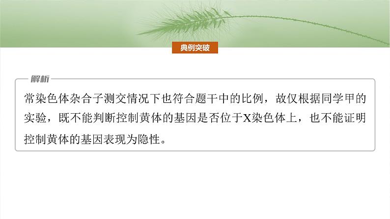 第五单元 专题突破8 基因在性染色体上的位置判断第7页