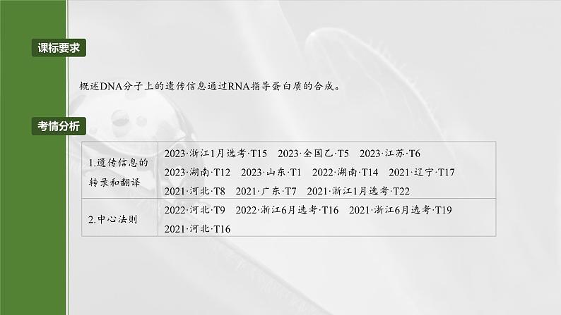 第六单元 第31课时 基因的表达-2025年高考生物大一轮复习课件02