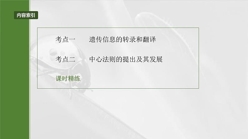 第六单元 第31课时 基因的表达-2025年高考生物大一轮复习课件03
