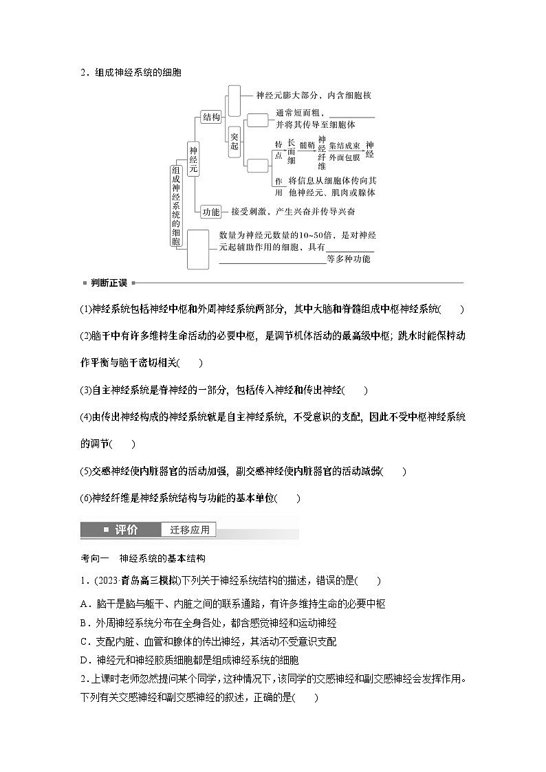 第八单元 第37课时 神经调节的结构基础和基本方式-2025年高考生物大一轮复习课件02