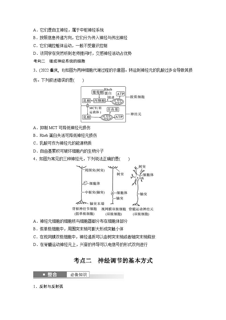 第八单元 第37课时 神经调节的结构基础和基本方式-2025年高考生物大一轮复习课件03