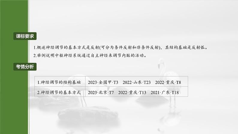 第八单元 第37课时 神经调节的结构基础和基本方式-2025年高考生物大一轮复习课件02