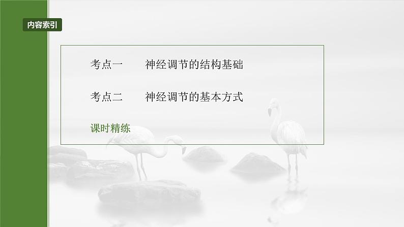 第八单元 第37课时 神经调节的结构基础和基本方式-2025年高考生物大一轮复习课件03