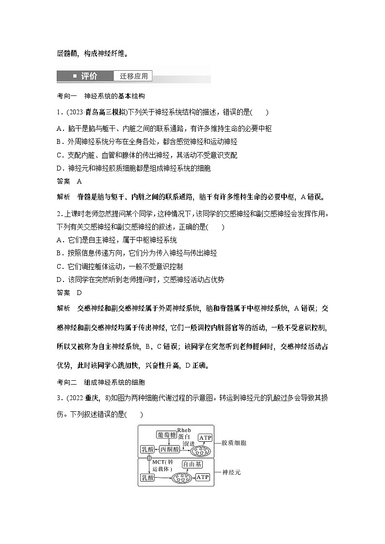 第八单元 第37课时 神经调节的结构基础和基本方式-2025年高考生物大一轮复习课件03