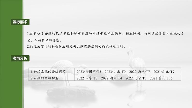 第八单元 第39课时 神经系统的分级调节及人脑的高级功能第2页