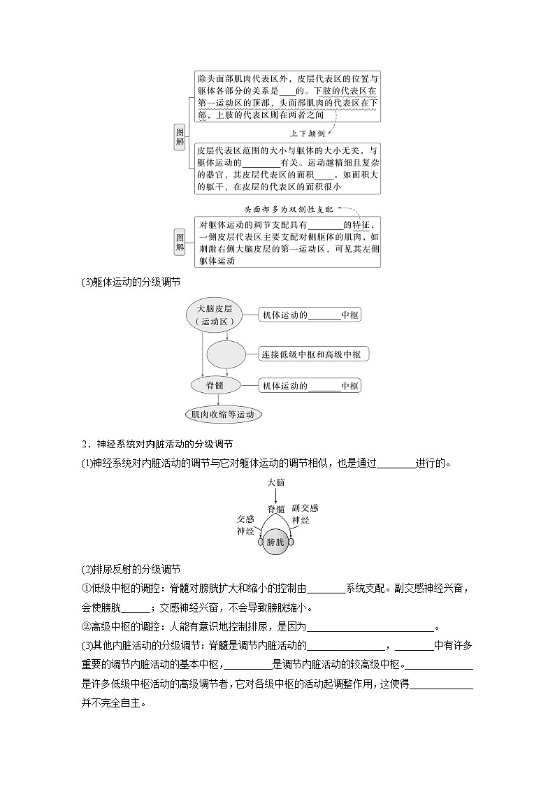 第八单元 第39课时 神经系统的分级调节及人脑的高级功能(学生版)第2页