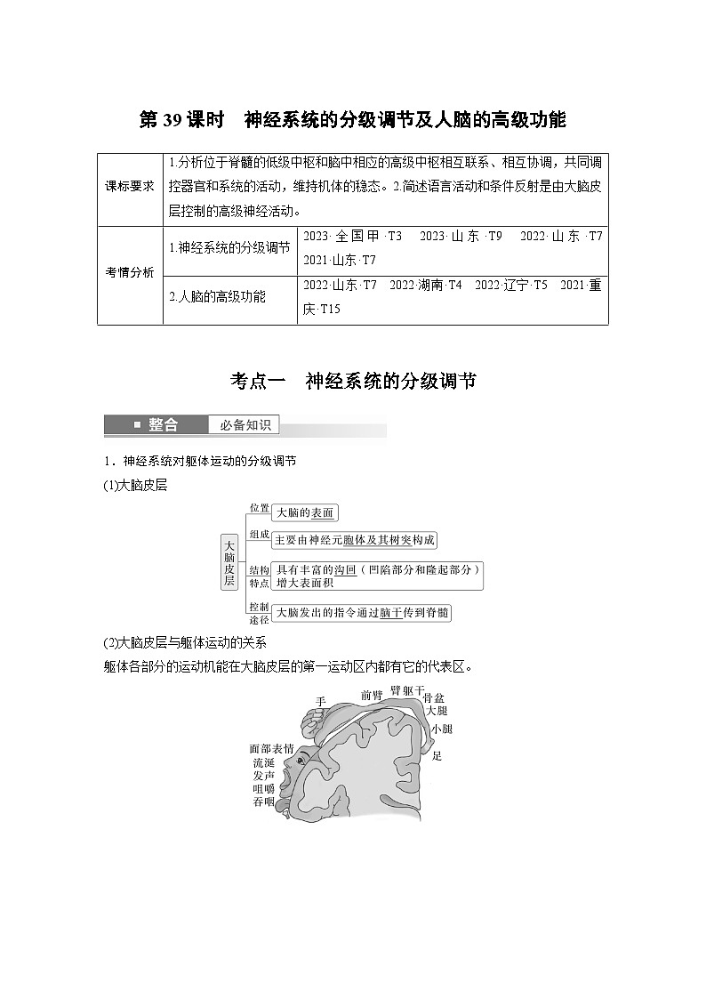 第八单元 第39课时 神经系统的分级调节及人脑的高级功能(教师版)第1页