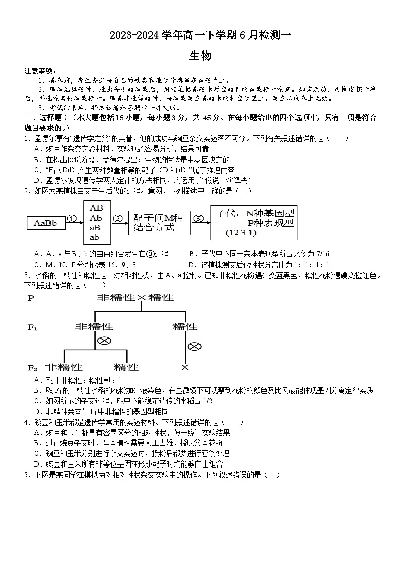 2024许昌高级中学高一下学期6月月考试题生物含解析第1页